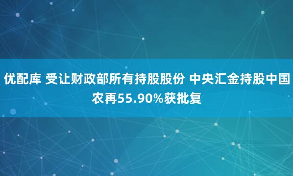 优配库 受让财政部所有持股股份 中央汇金持股中国农再55.90%获批复
