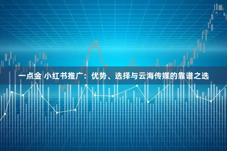 一点金 小红书推广：优势、选择与云海传媒的靠谱之选