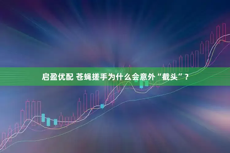 启盈优配 苍蝇搓手为什么会意外“截头”？